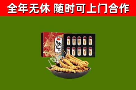 和硕回收冬虫夏草价格