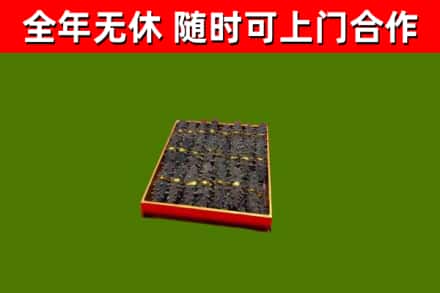 和硕回收海参